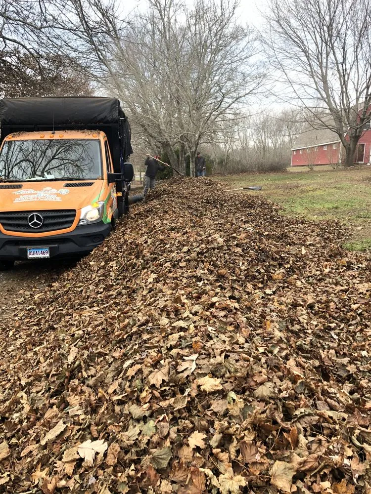 Top-rated yard maintenance for year-round maintenance in Ledyard, CT by Spicer's Lawn Care & Landscape Design