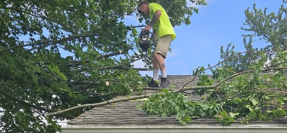 Affordable lawn care service in Enon, OH - Spicer’s Outdoor Pro Solutions