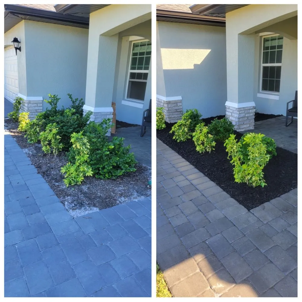 Custom yard cleanup service for outdoor upgrades across Cape Coral, FL - Spicy Cuts Lawn Care
