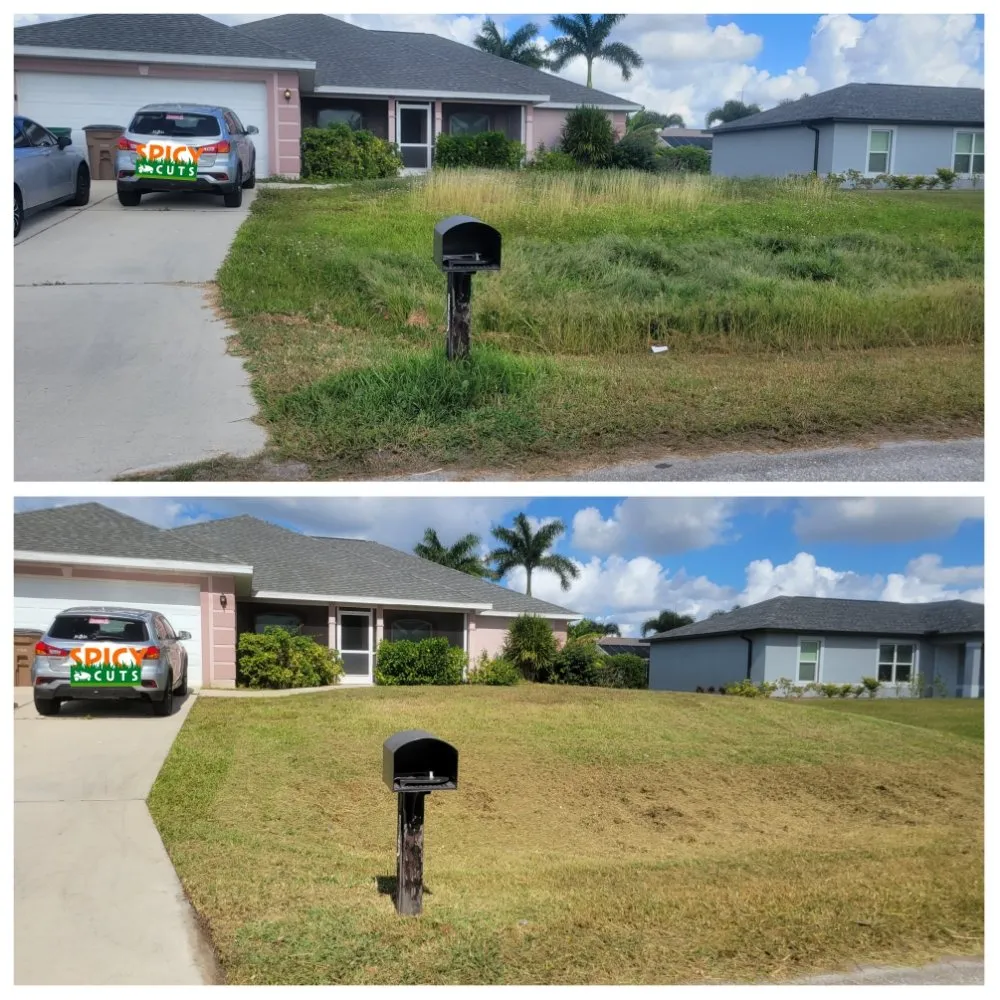 Expert yard maintenance experts serving Cape Coral, FL - Spicy Cuts Lawn Care