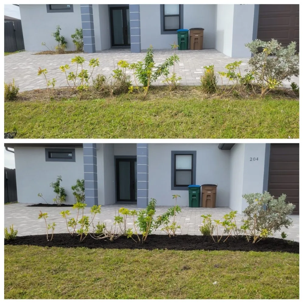 Reliable landscape design for beautiful yards across Cape Coral, FL - Spicy Cuts Lawn Care