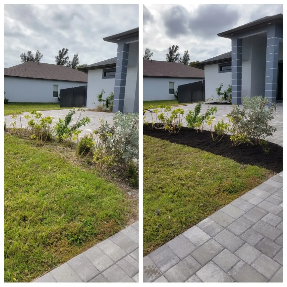 Affordable lawn care service in Cape Coral, FL by Spicy Cuts Lawn Care