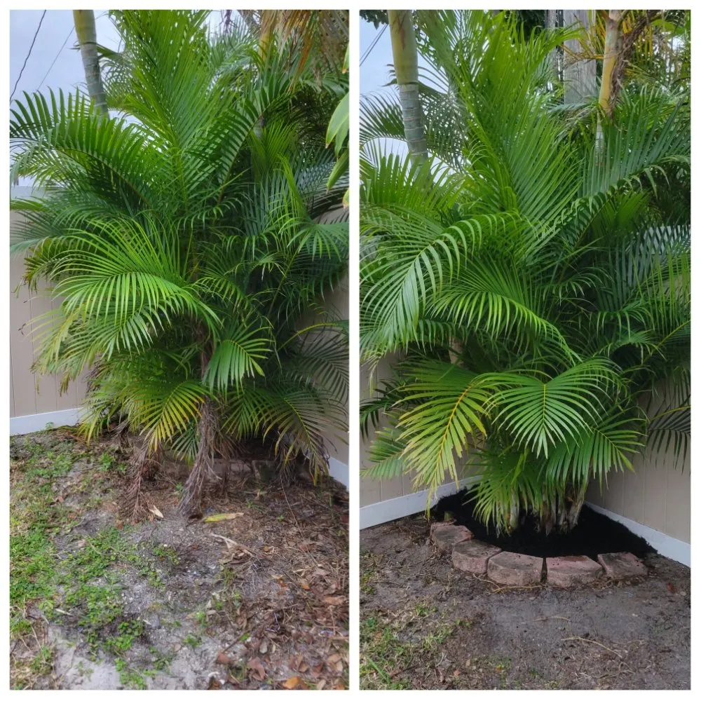 Expert yard maintenance experts serving Cape Coral, FL - Spicy Cuts Lawn Care