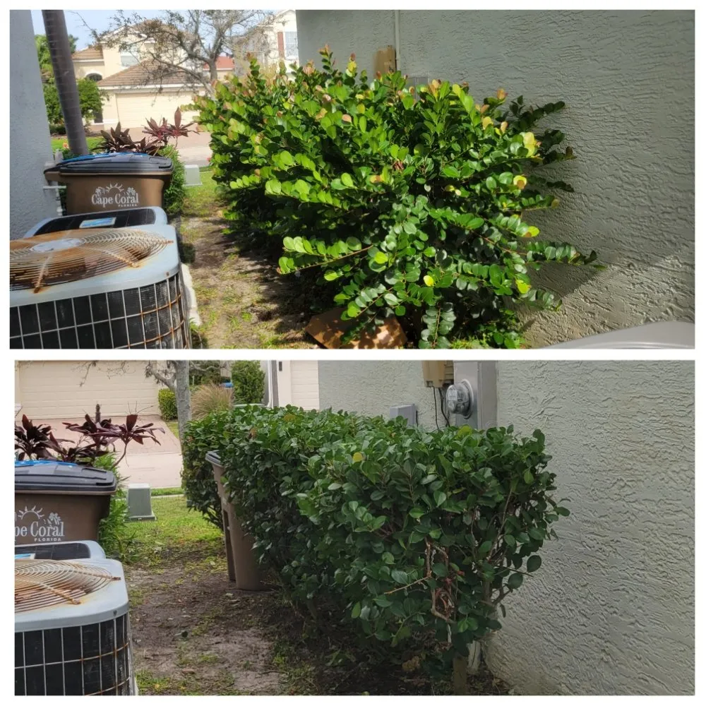 Top-rated landscape design with custom design across Cape Coral, FL - Spicy Cuts Lawn Care