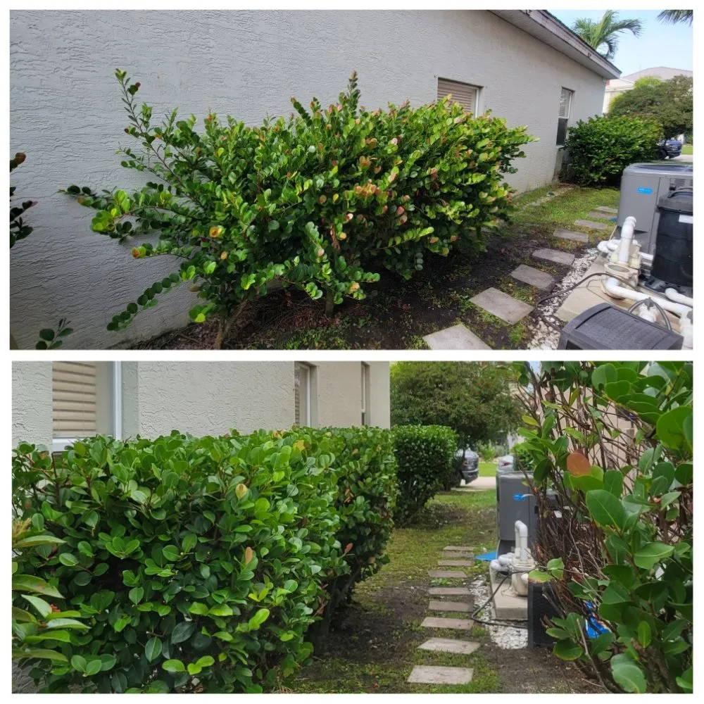 Professional yard maintenance in Cape Coral, FL - Spicy Cuts Lawn Care