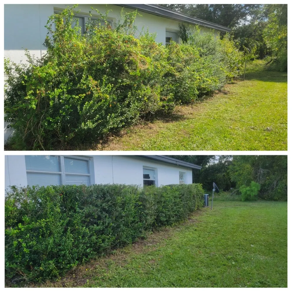 Expert landscaping services in Cape Coral, FL by Spicy Cuts Lawn Care