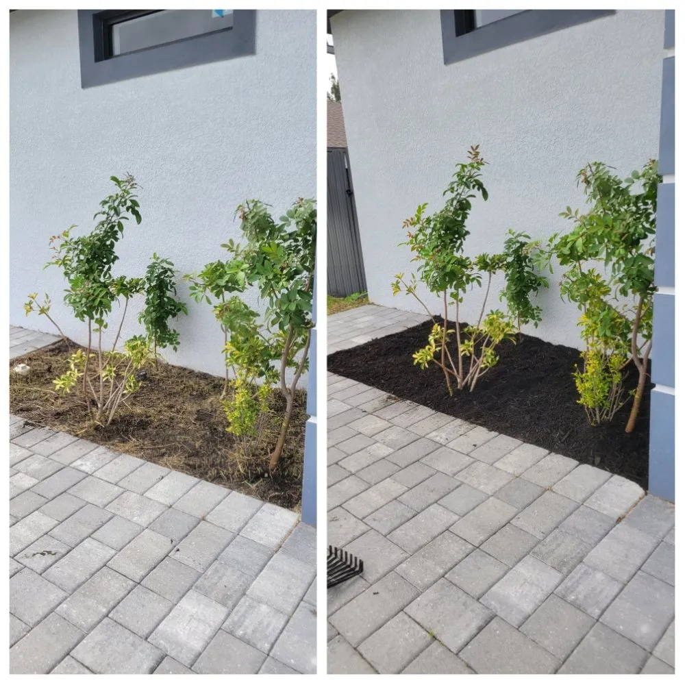 Expert residential landscaping experts serving Cape Coral, FL - Spicy Cuts Lawn Care