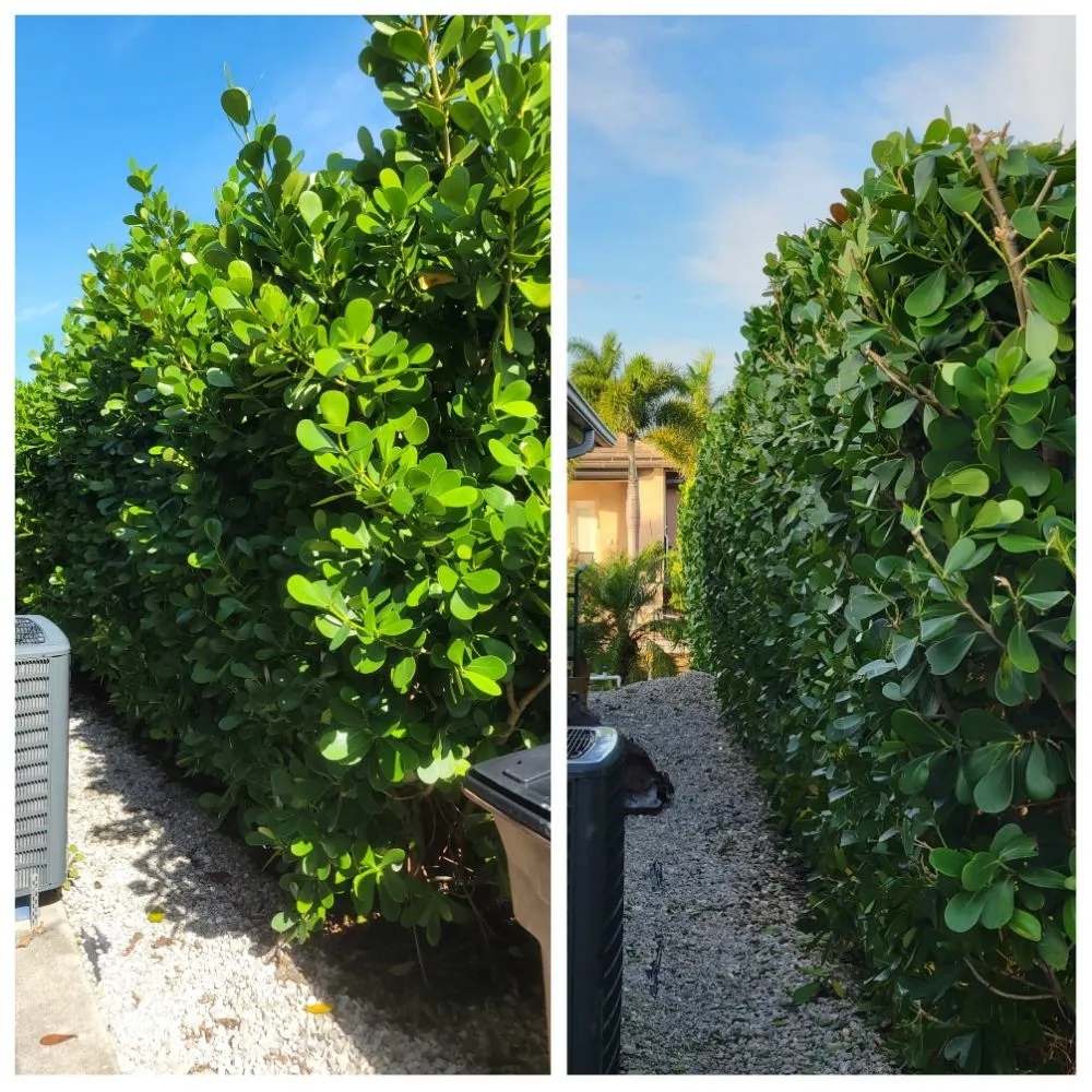 Affordable landscape design experts serving Cape Coral, FL - Spicy Cuts Lawn Care
