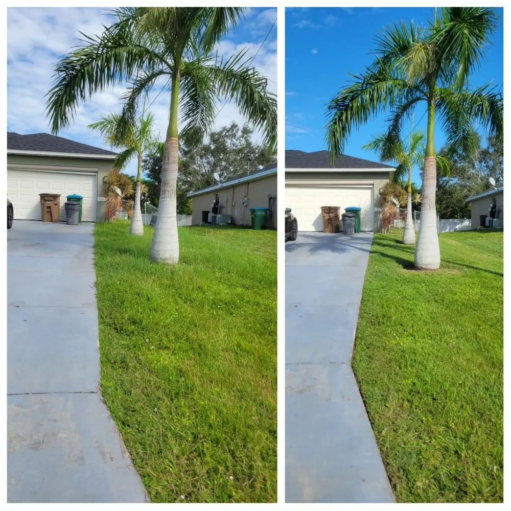 Expert outdoor landscaping experts serving Cape Coral, FL - Spicy Cuts Lawn Care