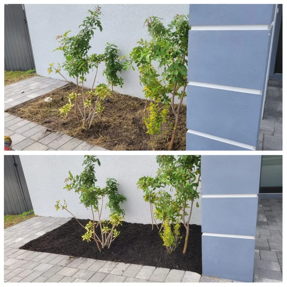 Professional landscape design with custom design across Cape Coral, FL - Spicy Cuts Lawn Care