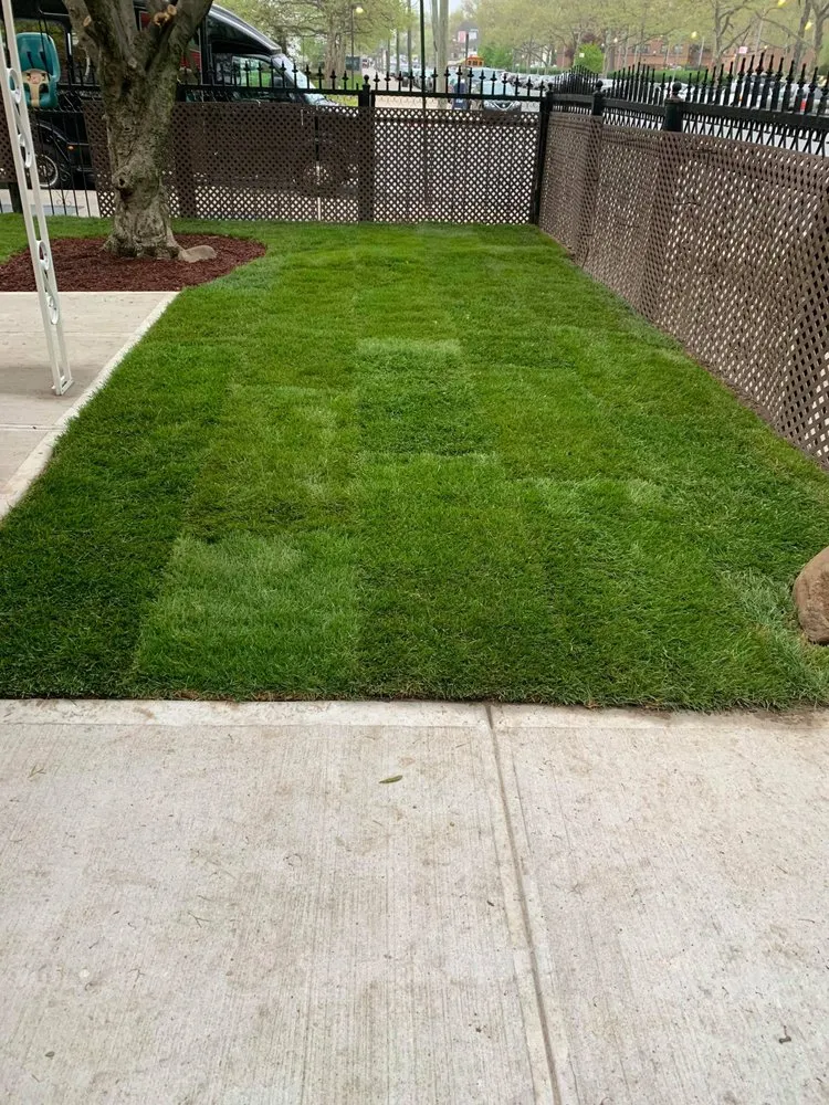 Professional outdoor landscaping for outdoor upgrades across College Point, NY - Spider GreenScapes