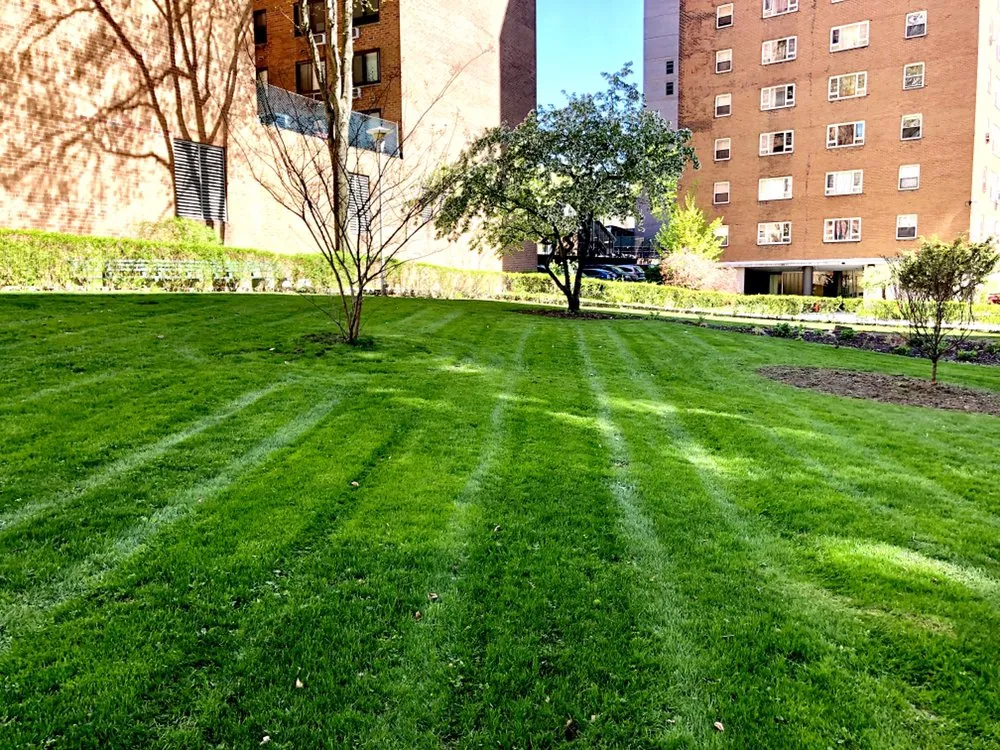 Trusted residential landscaping in College Point, NY by Spider GreenScapes