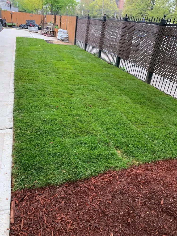 Affordable landscaping services for beautiful yards across College Point, NY - Spider GreenScapes