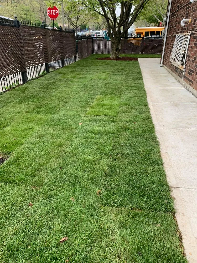 Affordable landscaping services with custom design across College Point, NY - Spider GreenScapes