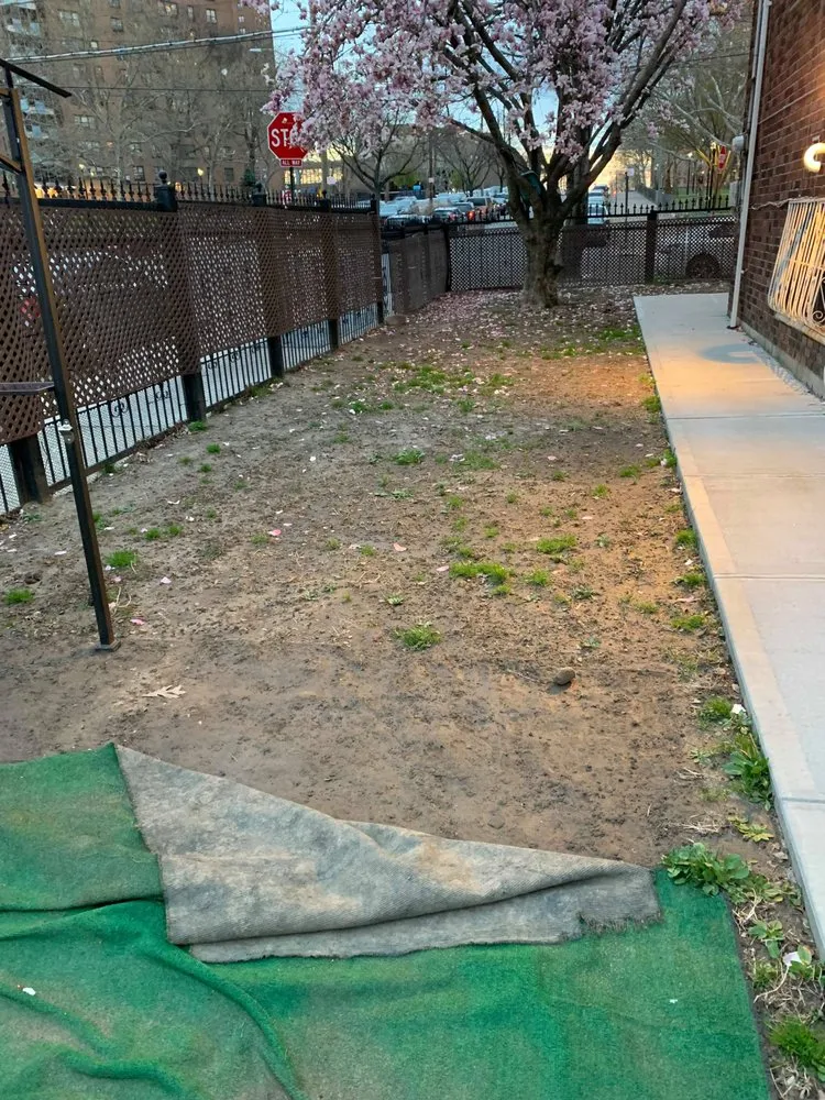 Top-rated landscape design in College Point, NY - Spider GreenScapes