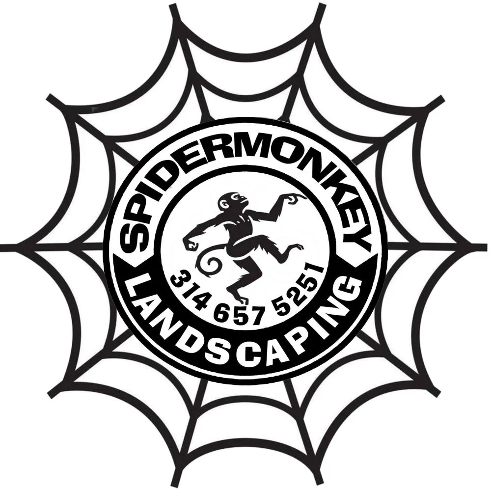 Expert yard cleanup service for homes in Saint Louis, MO by Spider Monkey Landscaping