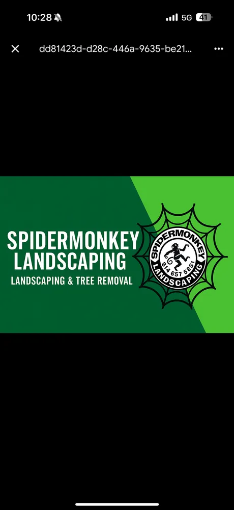 Top-rated outdoor landscaping with custom design in Saint Louis, MO by Spider Monkey Landscaping