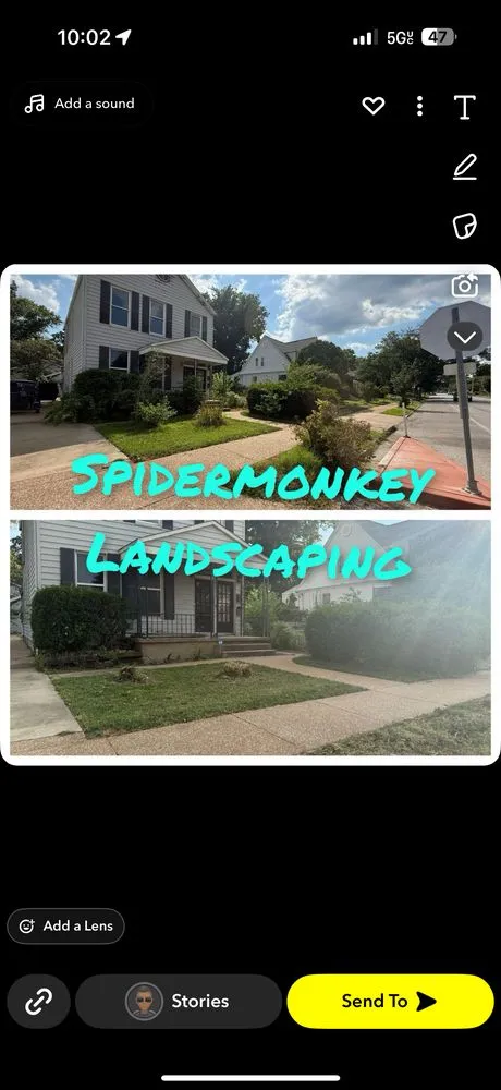 Expert yard maintenance for homes in Saint Louis, MO by Spider Monkey Landscaping