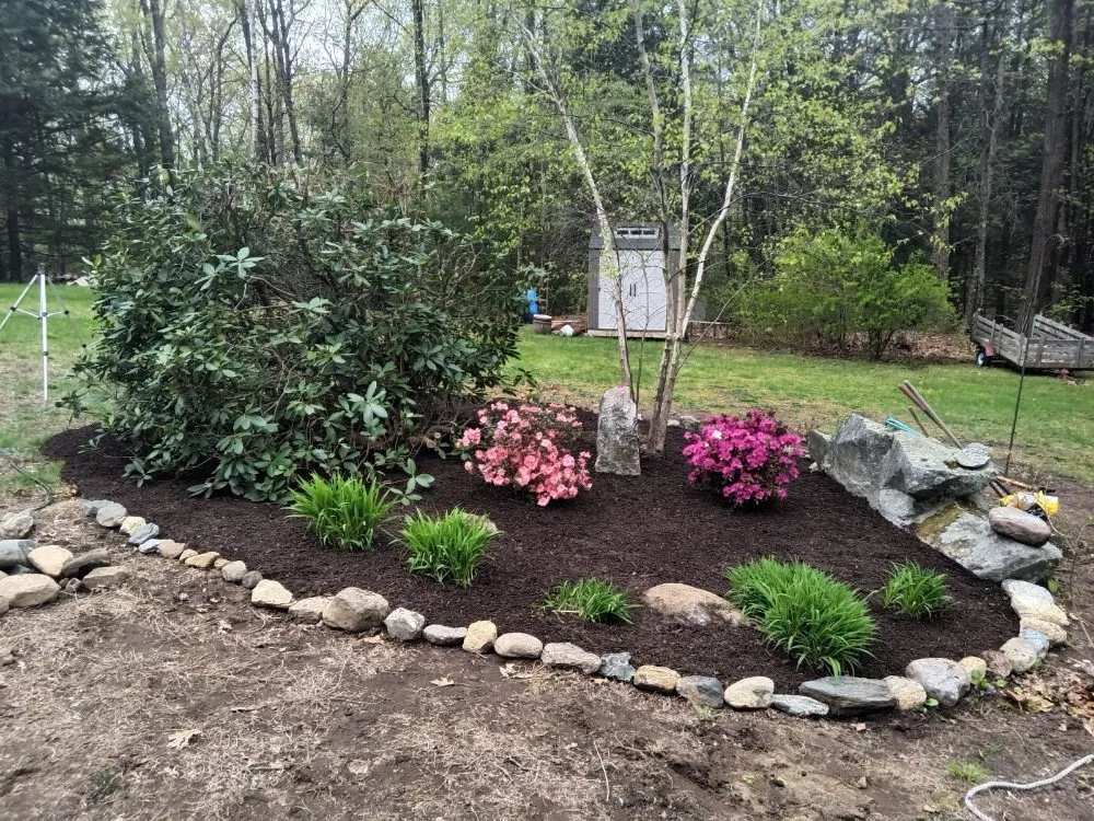 Top-rated yard maintenance for residential properties in Belchertown, MA by Spidey Lawn Care & Small Maintenance