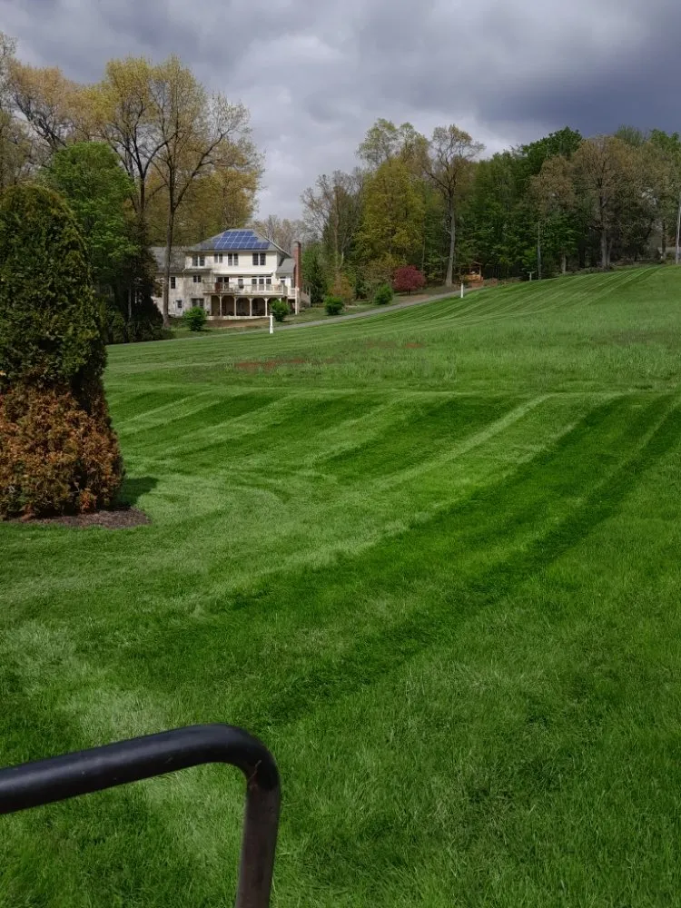 Trusted lawn mowing service experts serving Belchertown, MA - Spidey Lawn Care & Small Maintenance