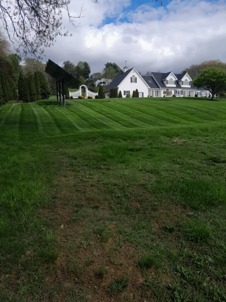 Professional yard cleanup service in Belchertown, MA by Spidey Lawn Care & Small Maintenance