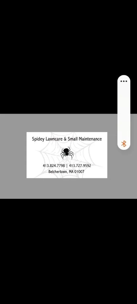 Professional outdoor landscaping in Belchertown, MA - Spidey Lawn Care