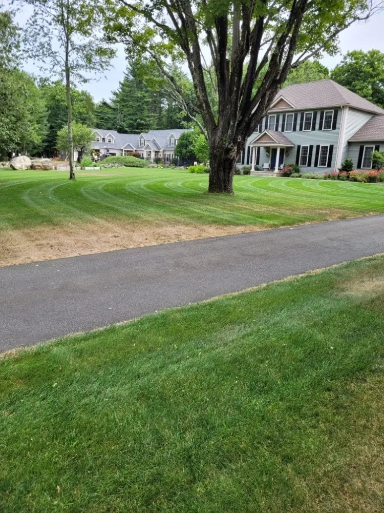 Expert lawn care service for year-round maintenance across Belchertown, MA - Spidey Lawn Care