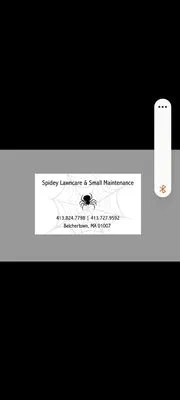 Spidey Lawn Care Logo