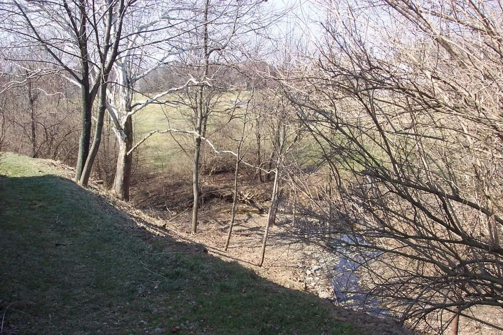 Trusted yard cleanup service for year-round maintenance across Ross, OH - Spiegel’s Landscaping