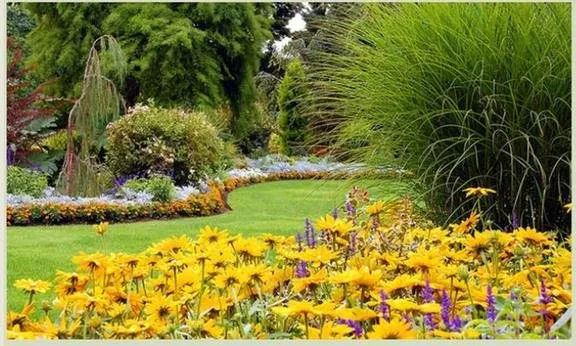 Reliable landscaping services experts serving Lima, OH - Spieles Nurseries