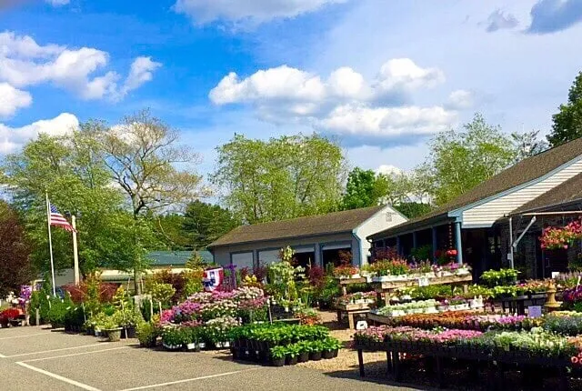 Affordable yard maintenance with custom design across Middleborough, MA - Spillane's Nursery