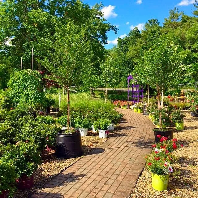 Professional garden landscaping with custom design across Middleborough, MA - Spillane's Nursery