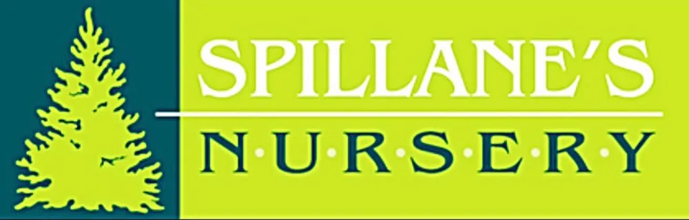 Expert landscape installation for residential properties across Middleborough, MA - Spillane's Nursery