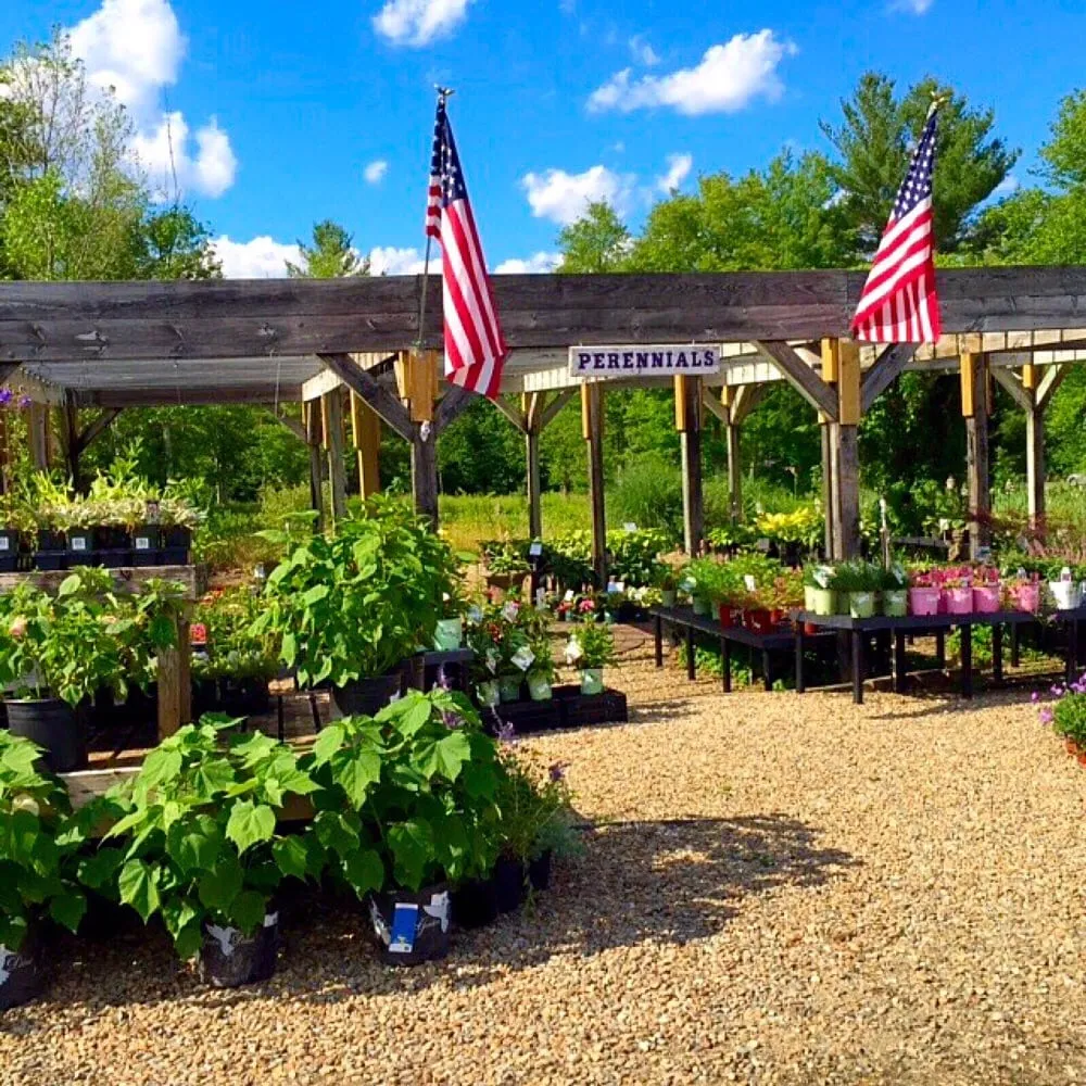 Top-rated yard cleanup service in Middleborough, MA - Spillane's Nursery