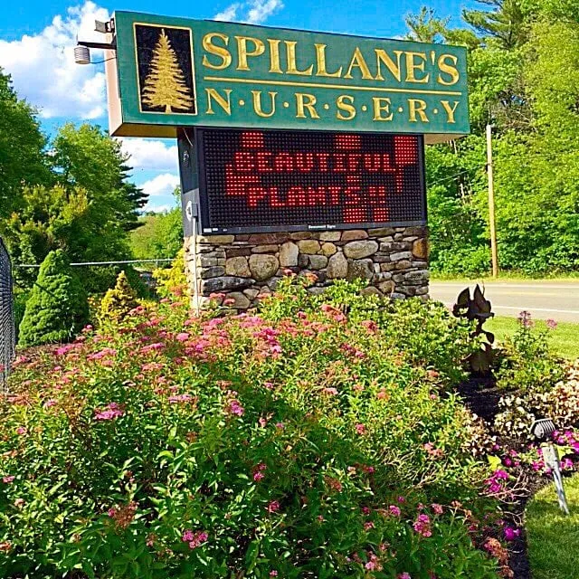 Reliable lawn care service experts serving Middleborough, MA - Spillane's Nursery