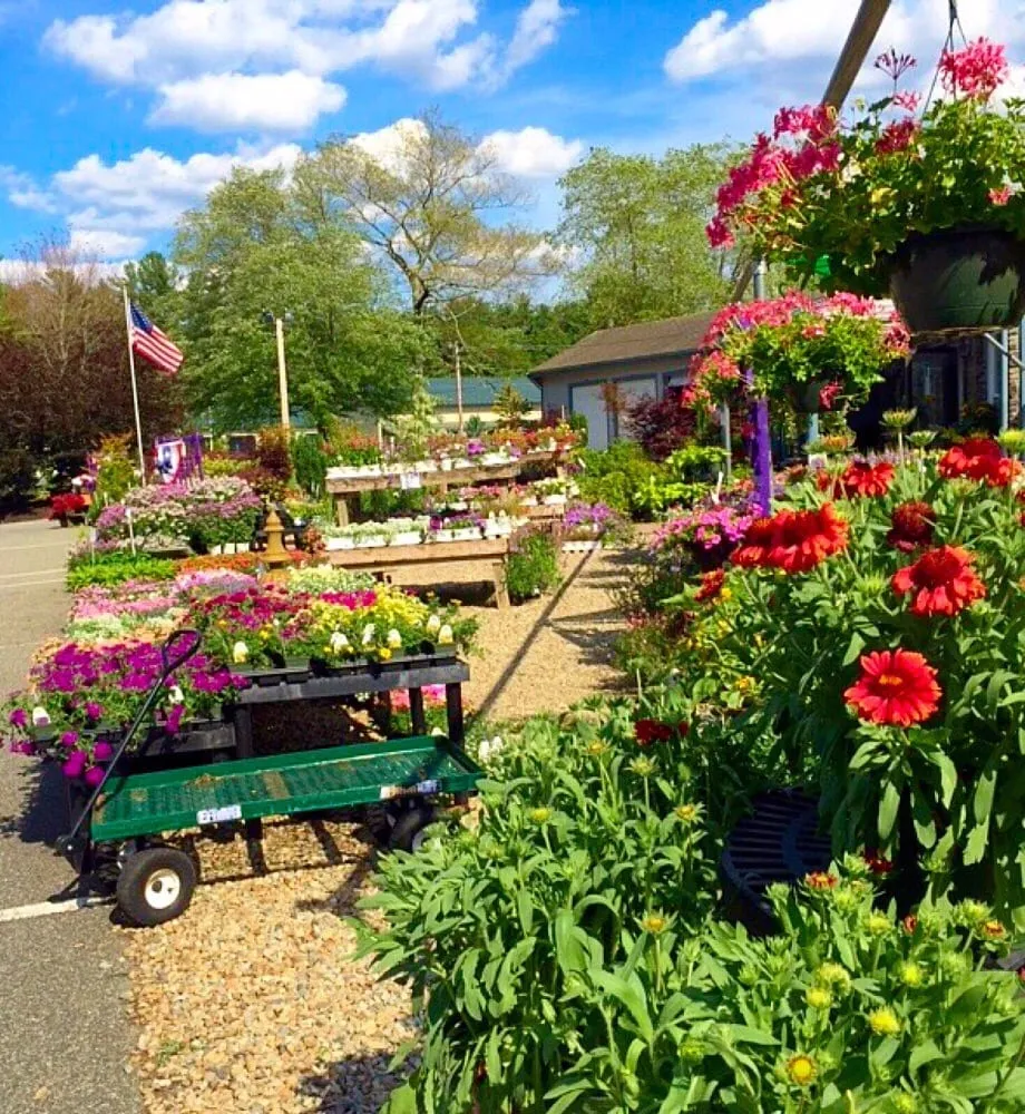 Reliable yard cleanup service in Middleborough, MA - Spillane's Nursery