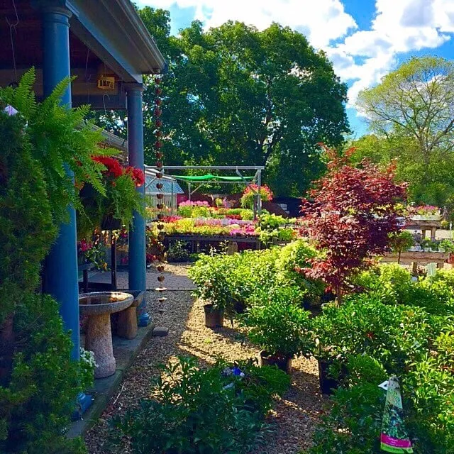 Affordable garden landscaping for outdoor upgrades across Middleborough, MA - Spillane's Nursery