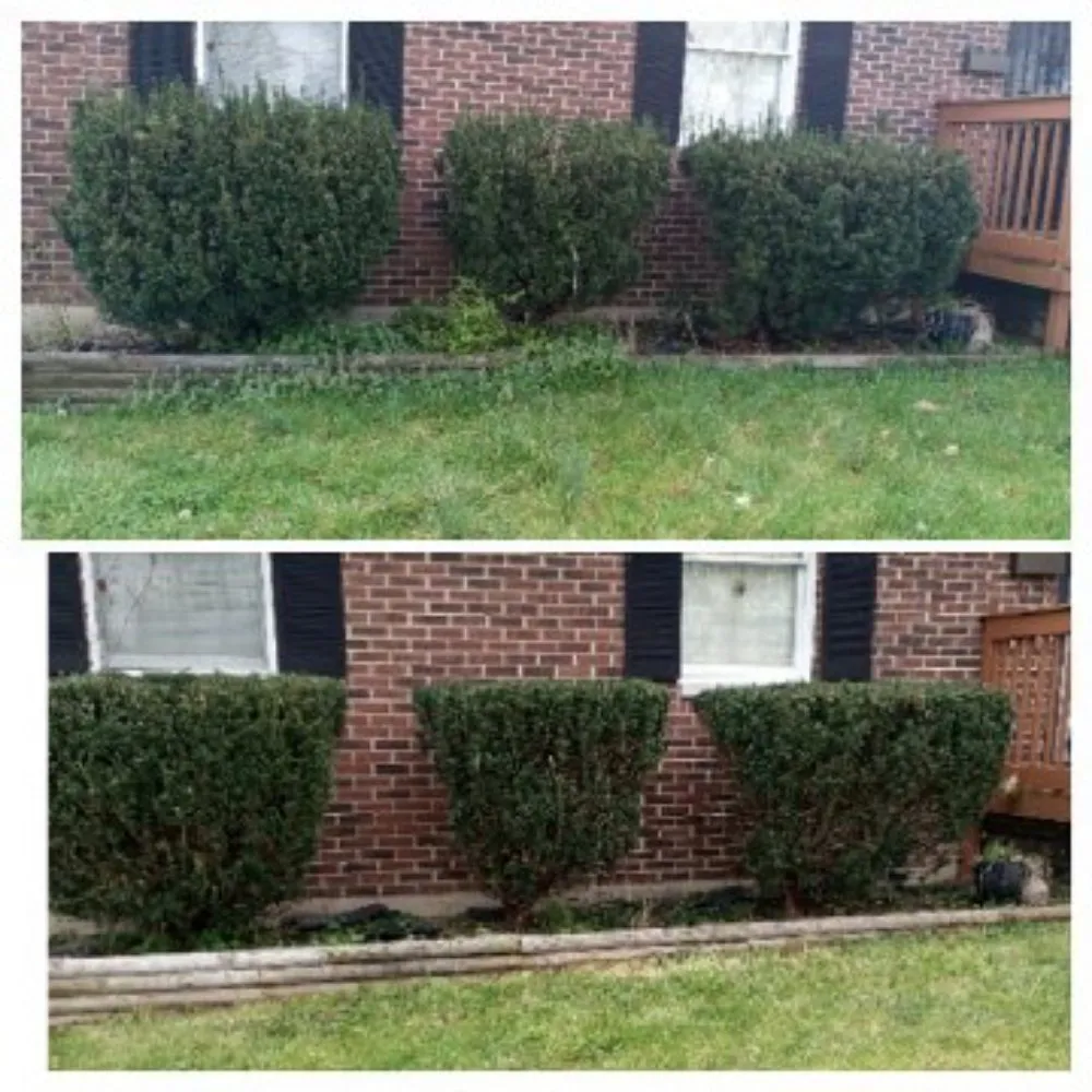 Reliable landscaping services near you across Harrodsburg, KY - Spillys Lawn Care