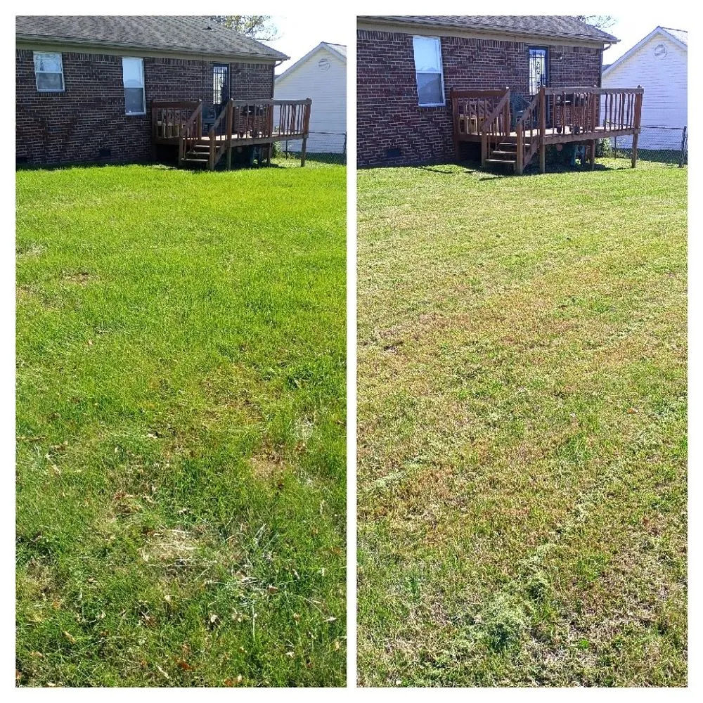 Custom landscape design in Harrodsburg, KY - Spillys Lawn Care