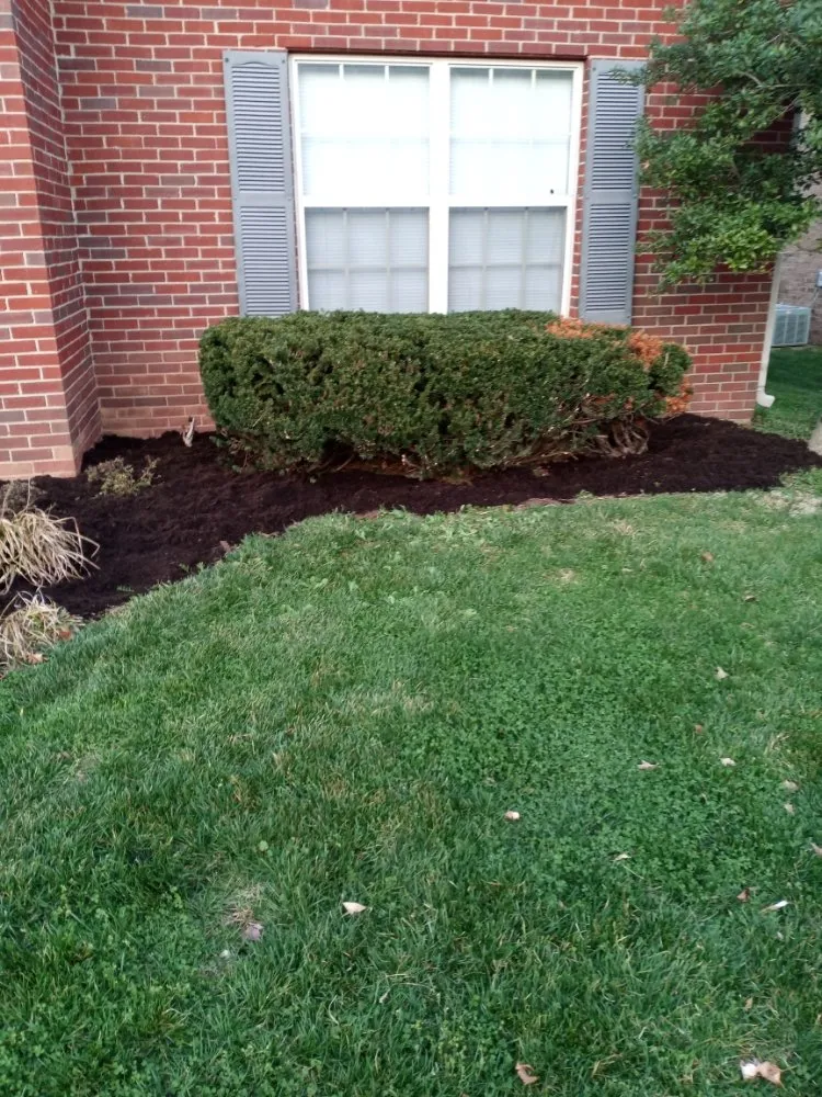 Top-rated landscape design in Harrodsburg, KY - Spillys Lawn Care