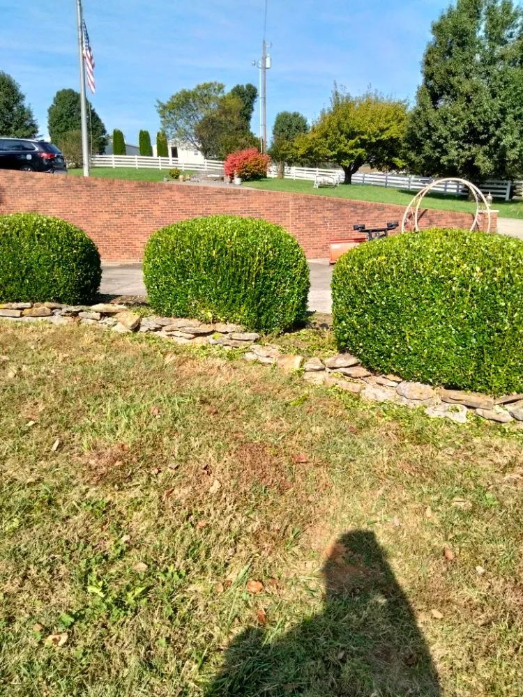 Reliable outdoor landscaping in Harrodsburg, KY - Spillys Lawn Care