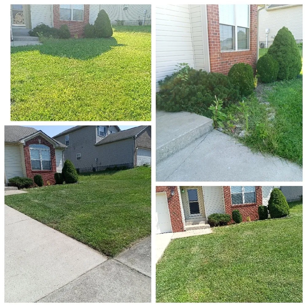 Local yard cleanup service experts serving Harrodsburg, KY - Spillys Lawn Care