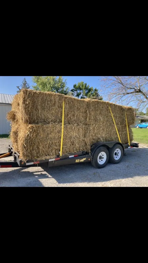 Local lawn care service experts serving Iowa City, IA - Spindrift Lawn And Snow
