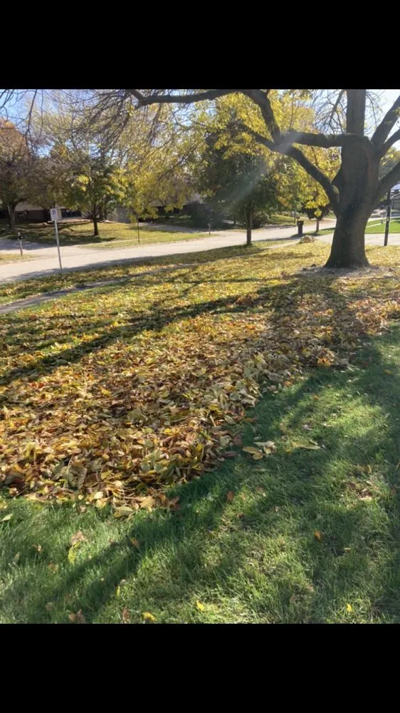 Expert yard maintenance for homes in Iowa City, IA by Spindrift Lawn And Snow