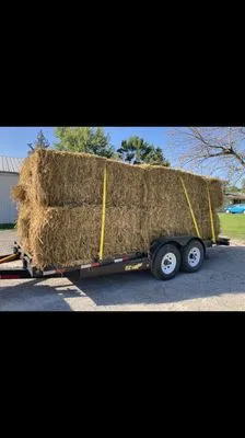 Spindrift Lawn And Snow