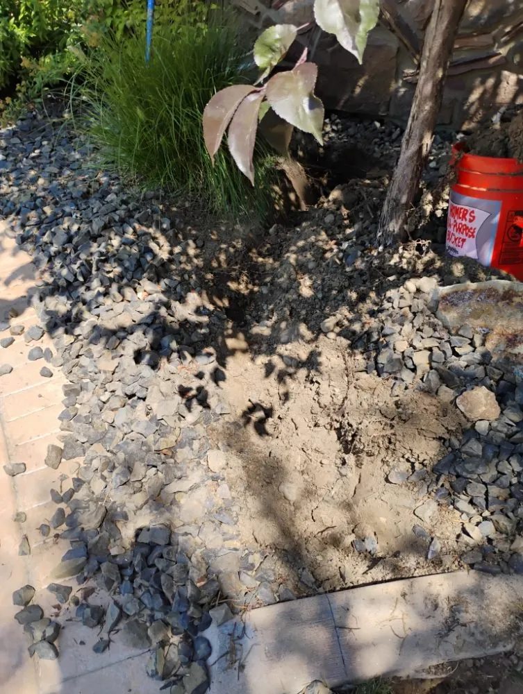 Reliable landscaping services in Nampa, ID - Spindrift Sprinkler Services