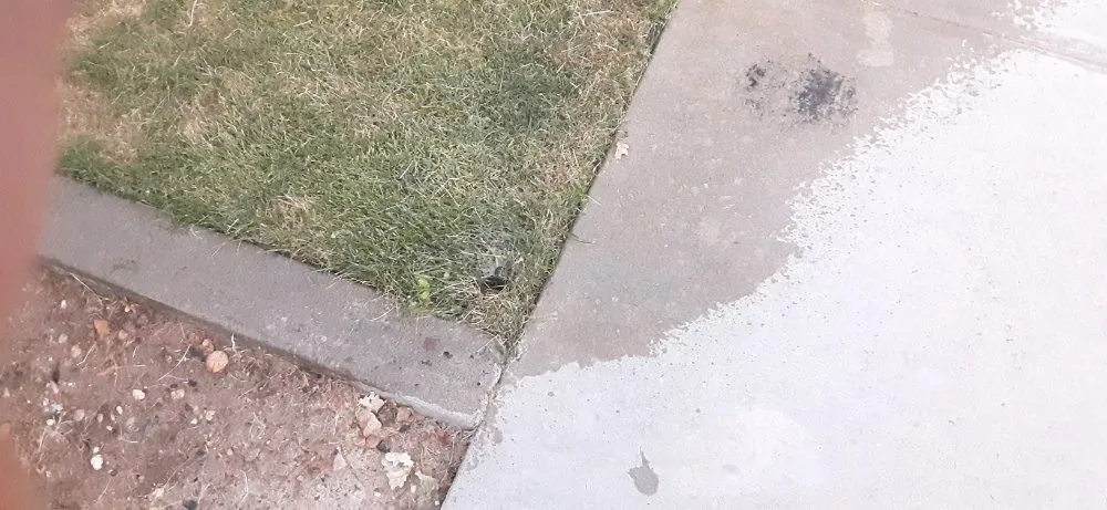 Professional yard maintenance for residential properties in Nampa, ID by Spindrift Sprinkler Services