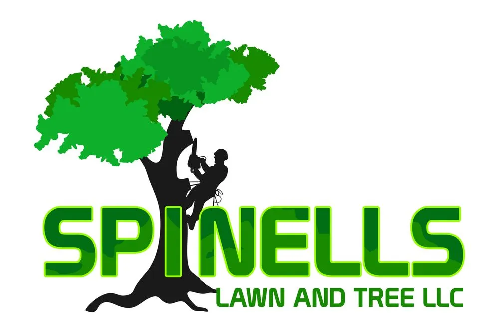 Affordable landscaping services in Durham, CT - Spinells Tree Service