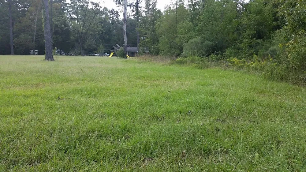 Expert residential landscaping for beautiful yards in Greenwell Springs, LA by Spinning Bladez Lawn Care & Preasure Washing