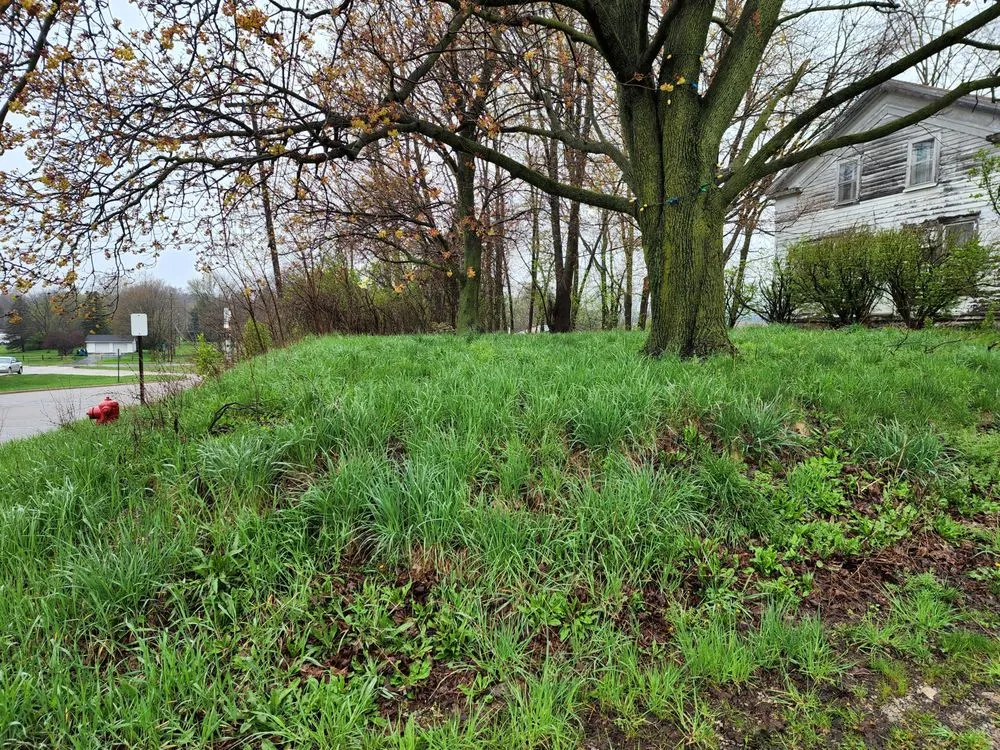 Trusted lawn mowing service experts serving Muskegon, MI - Spirit Cleaning Maintenance & Lawncare